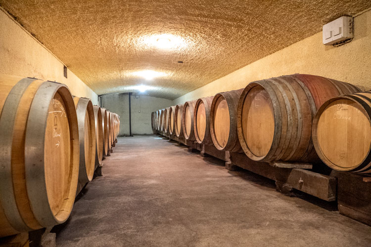 société producteur de vin Cravant-les-Côteaux