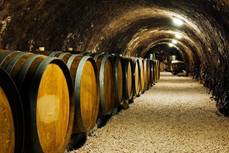 société producteur de vin Cravant-les-Côteaux