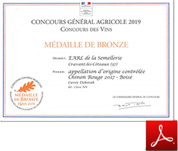 Dégustation de vin Cravant-les-Côteaux