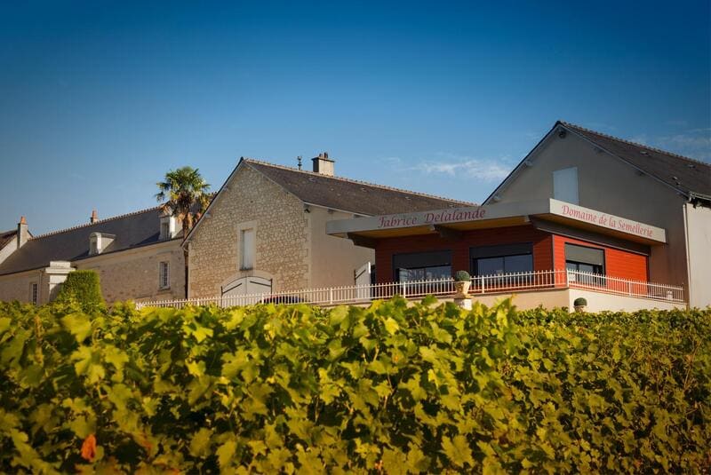 Dégustation de vin Cravant-les-Côteaux