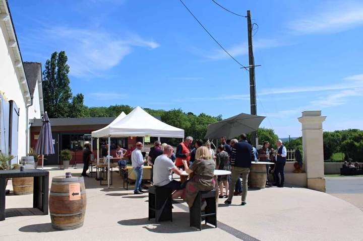Dégustation de vin Cravant-les-Côteaux