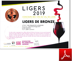 Dégustation de vin Cravant-les-Côteaux